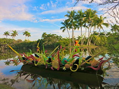 Chihuly comes to Fairchild, January 2015