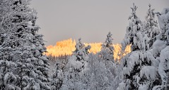 Christmas morning, Mårdsjön Sweden -24 celsius (below)brrr