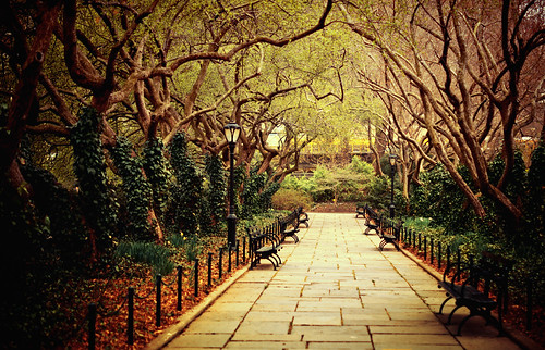 New York City - Springtime Dances with Central Park