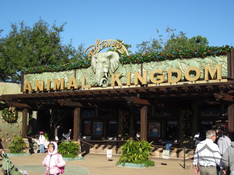 Walt Disney World - Disney's Animal Kingdom