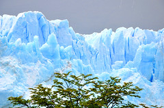 Patagonie australe