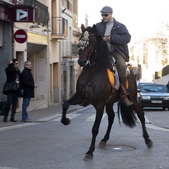 HORSES-CABALLOS
