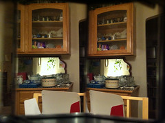 stereography 