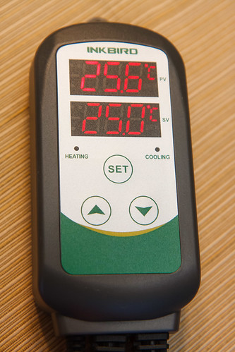 the Inkbird ITC-308 Temperature Controller has two lcd display lines