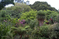 Shambhala gardens at Crystal Castle
