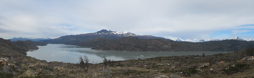 Torres del Paine: trek du W. Jour 4: el Lago Grey.