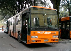 CTT Nord - VaiBus/CLAP Lucca buses