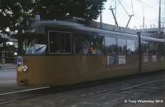 Rotterdam Trams