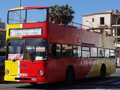 Bus Red