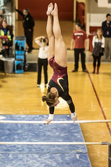 NCSU Gymnastics 2014