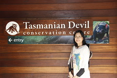11-4-2014 Tasmanian Devil
