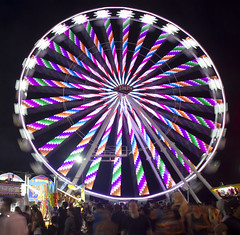San Diego County Fair - 2016