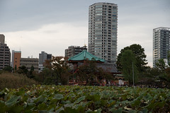 Ueno, 上野(下町風俗資料館、岩崎邸)