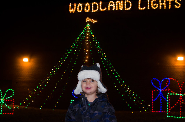 20141222-Woodland-Lights-6035