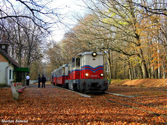 Trains - MÁV Mk45