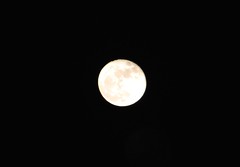 2014.12.08; Full Cold Moon