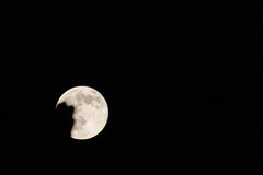 Llum de lluna