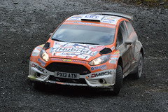 Ford Fiesta R5 Chassis 020 (active)