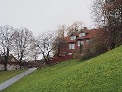 2014-11 Oslo at Myralokka Park 