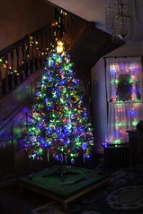 2014 Christmas tree