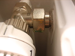 Rust or rot on thermostatic radiator valve