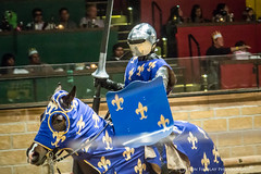 Medieval Times 2014