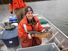 Carey Edwards, biologist from Iron River National Fish Hatchery, Wisconsin, poses with a beautiful coaster brook trout
