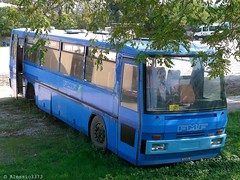 FMF Massa Marittima (GR) buses
