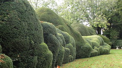 English Gardens Engelse tuinen Jardins Englais