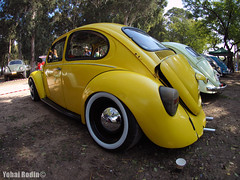 15.11.2014 - Volkswagen Beetles' Meeting