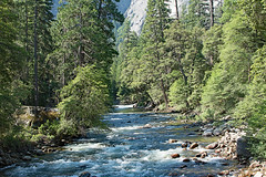 Yosemite - July 2016