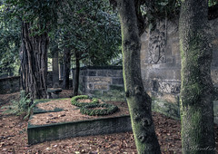 lost cemetery