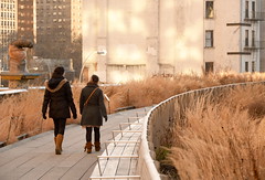 High Line 2014-12-18