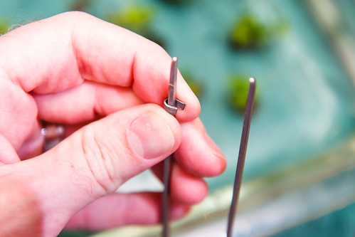 use planting pinsette tweezers to form lead weights for stem plants