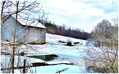 Barns, Sheds & Old Farm Structures