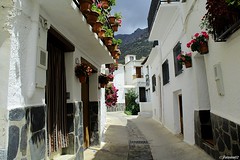 Trevelez (Granada)