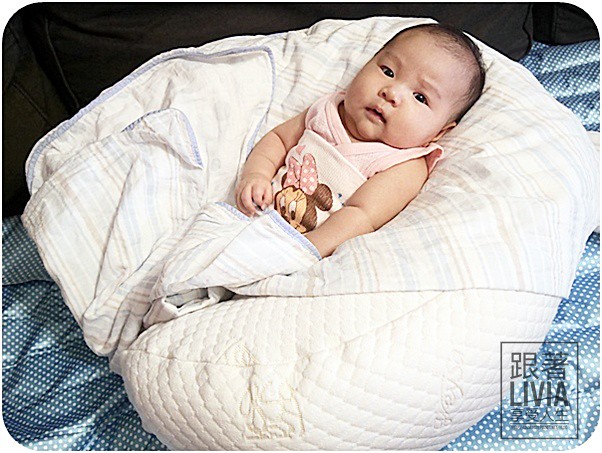 0707-GreySa格蕾莎哺乳護嬰枕 (24)