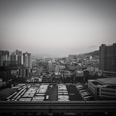 2014 Korea