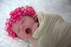 Newborn, Maternity & Family Photo Shoots