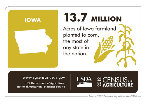 Farmers in The Hawkeye State produced more than $17.3 billion worth of crops in 2012 and lead the nation in acres planted to corn. Check back next Thursday as we take a look at another state and the 2012 Census of Agriculture.  