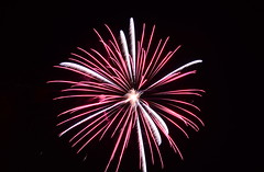 Angell Park Fireworks 2016-07-03