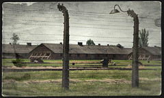 Auschwitz-Birkenau