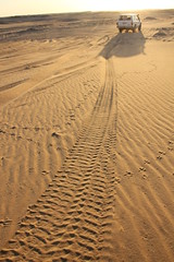 Egyptian Desert