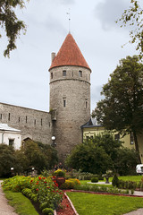 Tallinn City 2