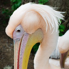 2016 - May Zoo Visit