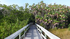 Florida 2014 - 2 - Everglades NP 02.12.14