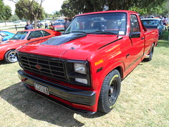 1980 - 1989 Ford F-Series