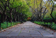 Central Park Fall Folio 2014