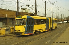 Brussels Trams