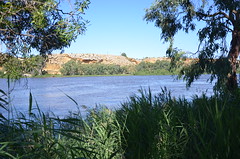 Murray River, Walker Flat, South Australia